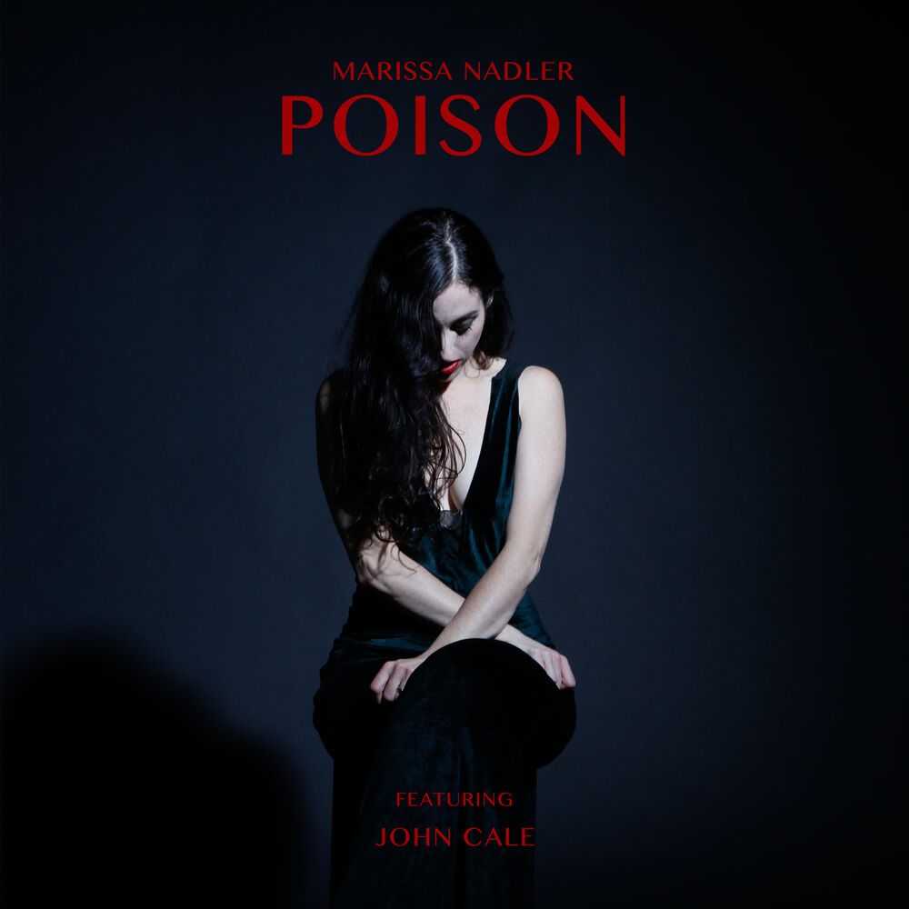 Picture of Poison / If We Make It Through the Summer