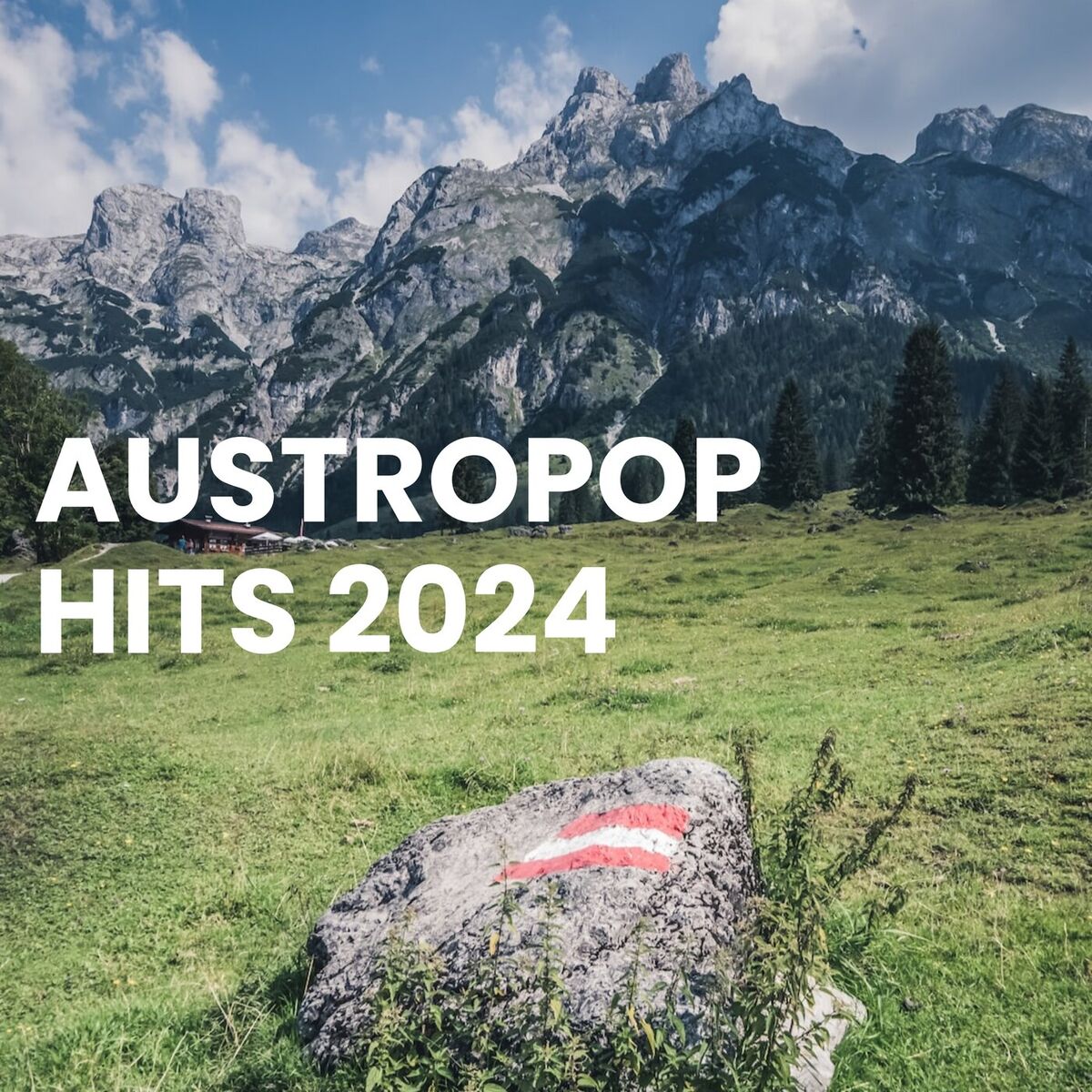 Album cover of Austropop Hits 2024