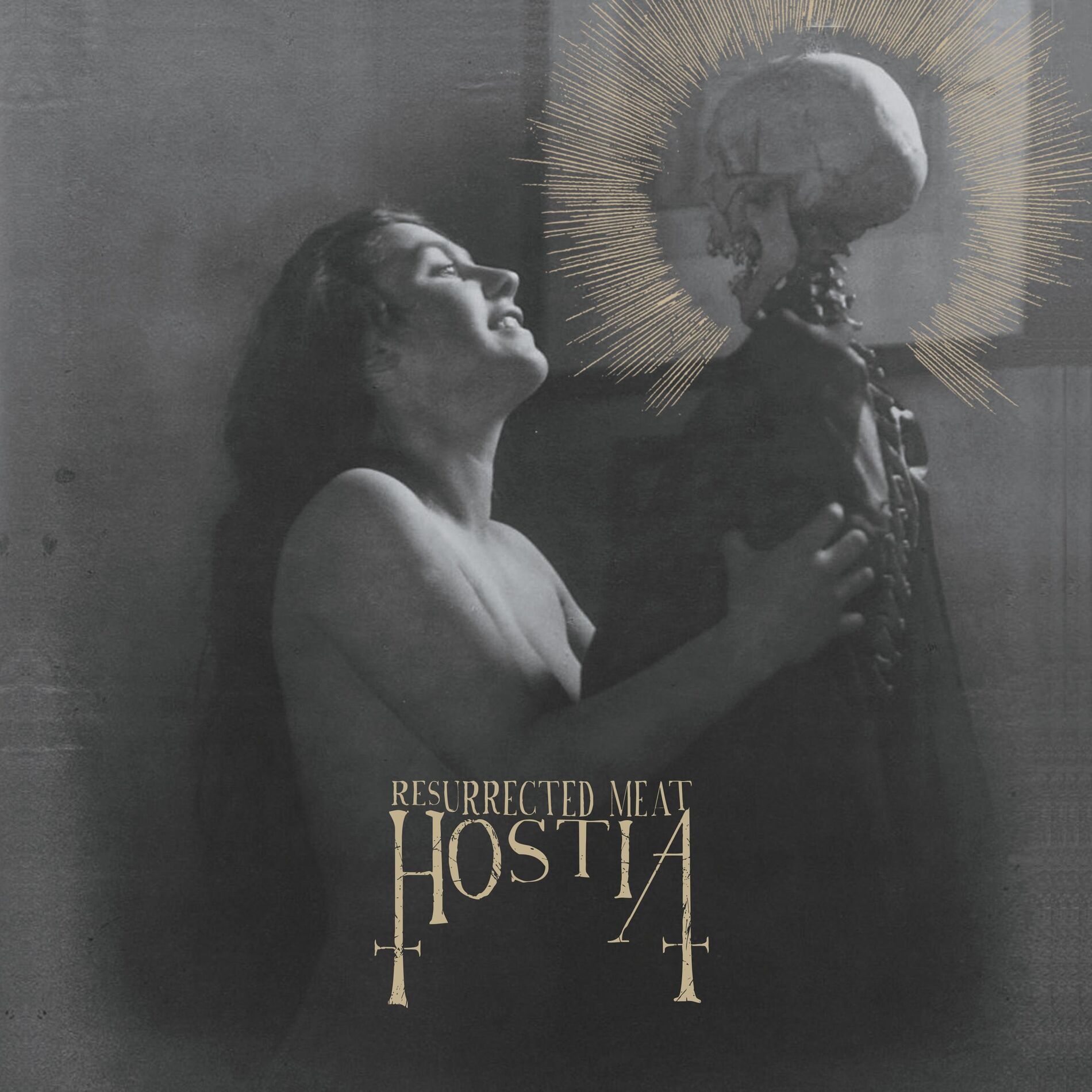 Album cover of Resurrected Meat