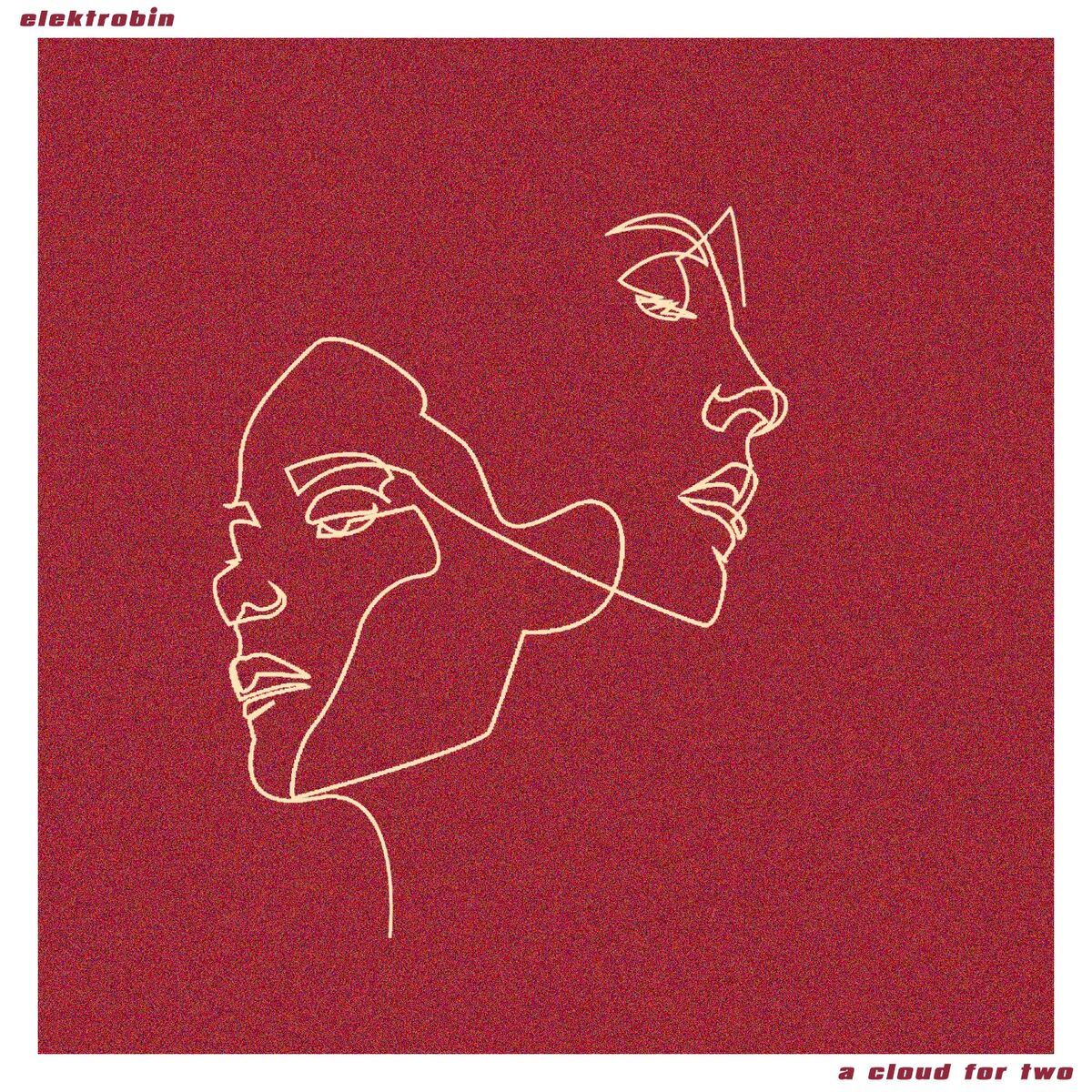 Album cover of A Cloud for Two