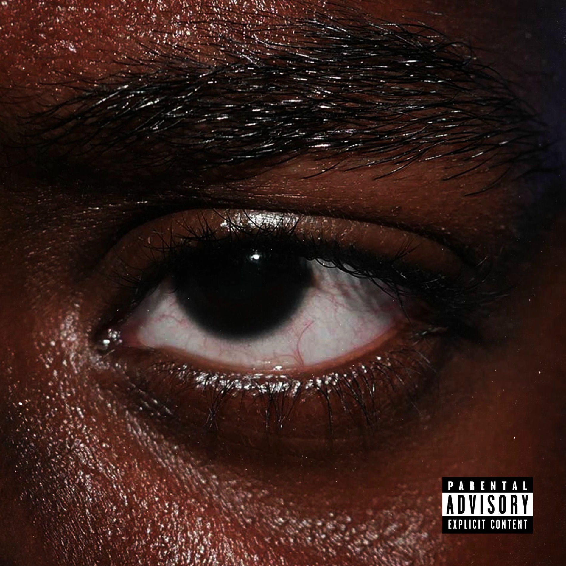 Album cover of BLOOD IN MY EYE