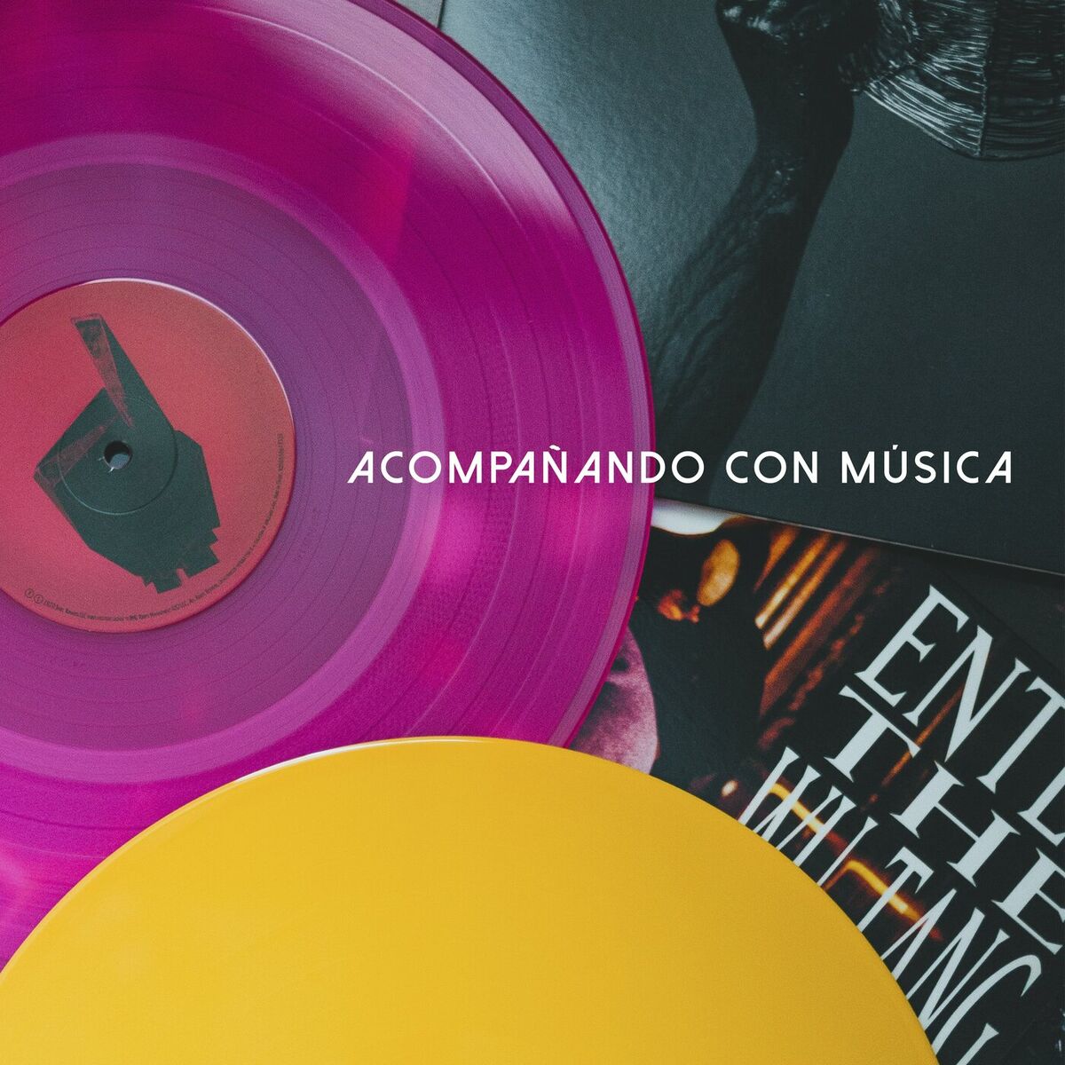 Album cover of Acompañando con música