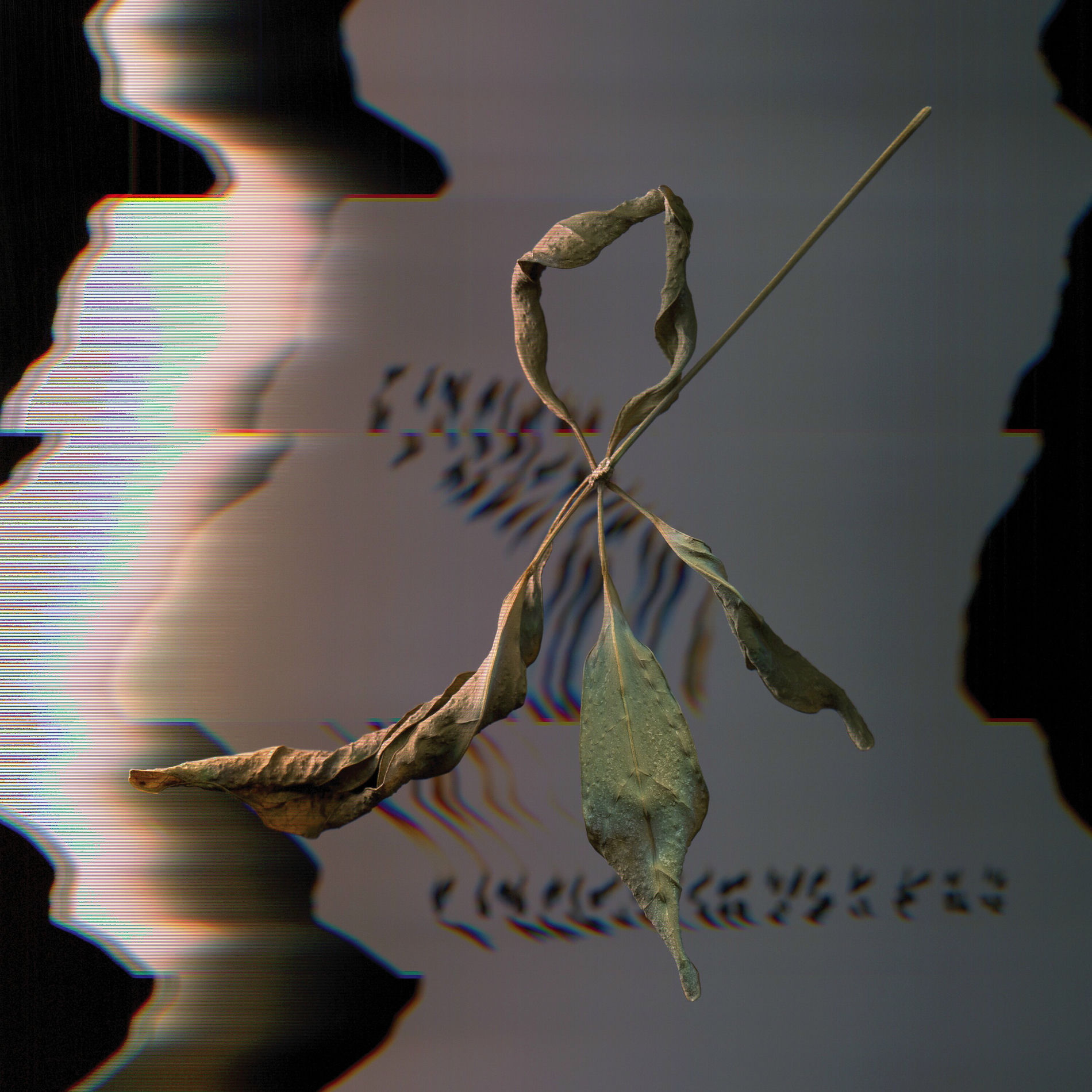 Album cover of Trill Scan