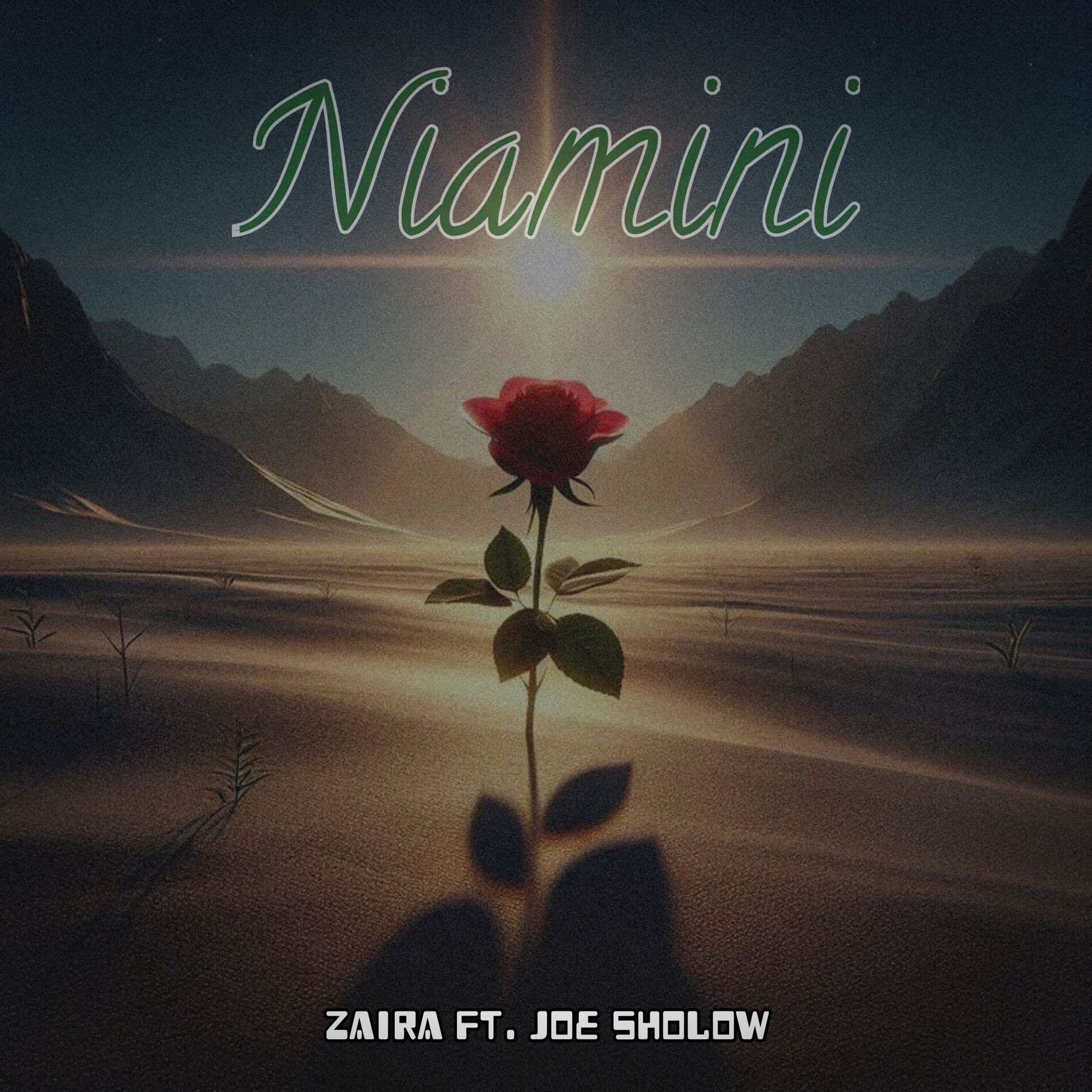 Album cover of Niamini