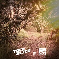 Cover of IV