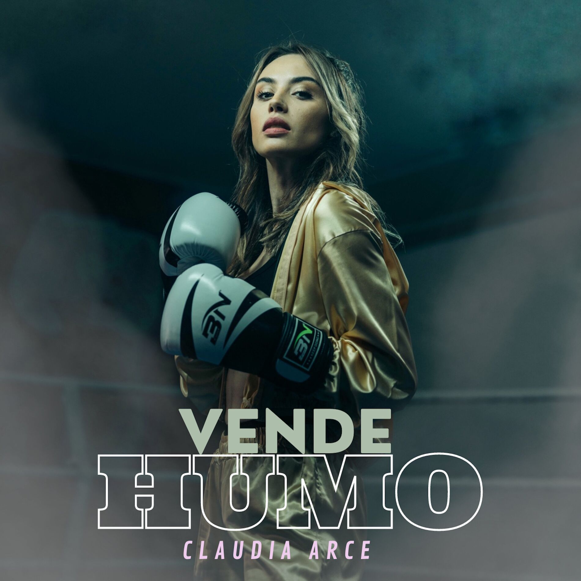Album cover of Vende Humo