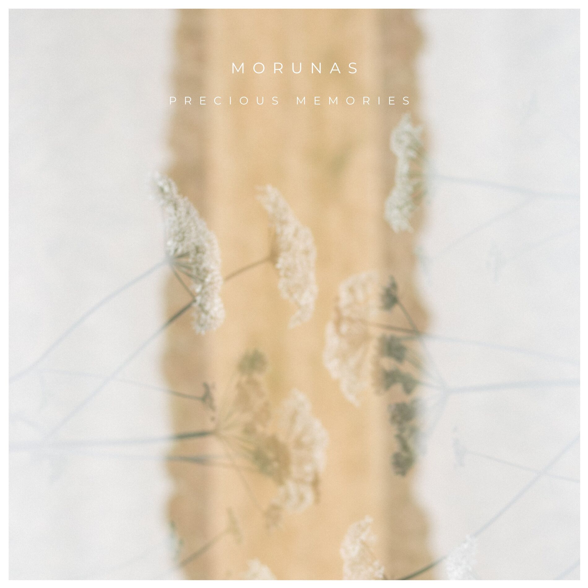 Album cover of Precious Memories