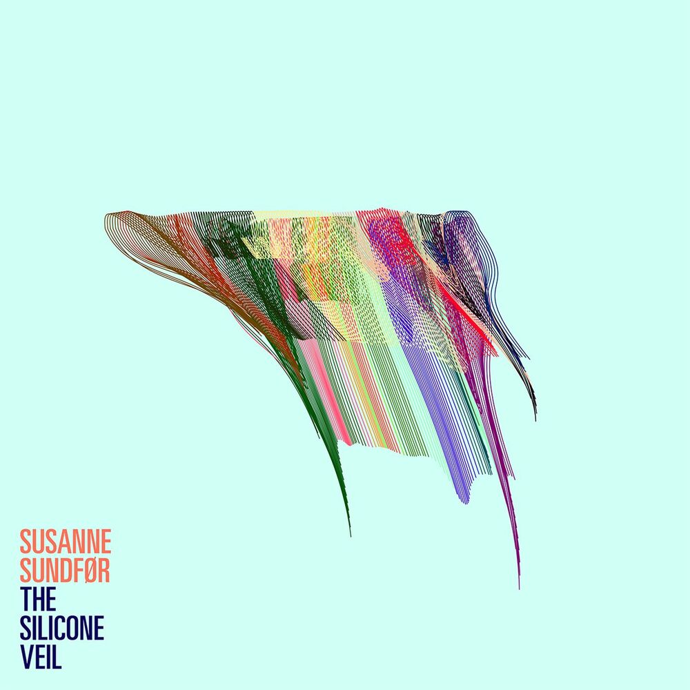 Picture of The Silicone Veil