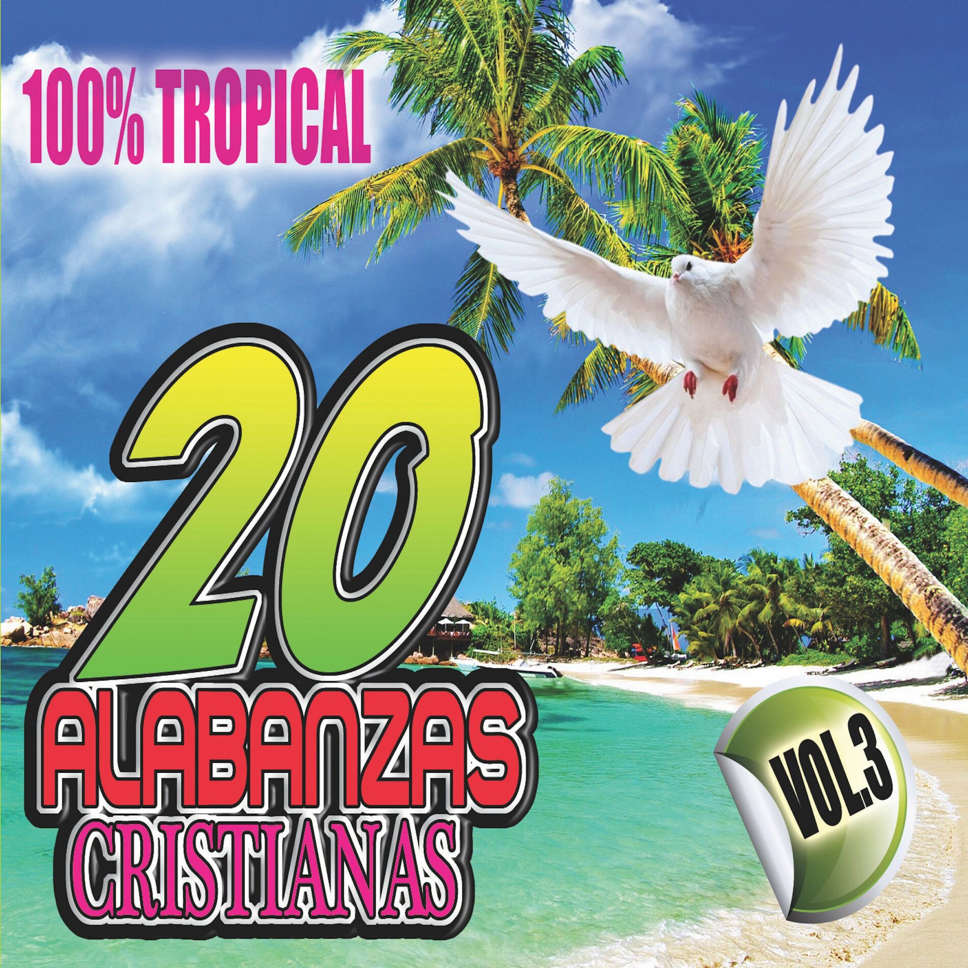 Album cover of 20 Alabanzas Cristinas Vol. 3