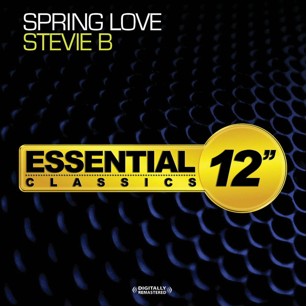 Album cover of Spring Love