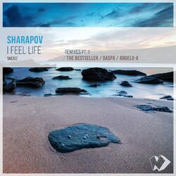 Cover of I Feel Life: Remixes, Pt. 1