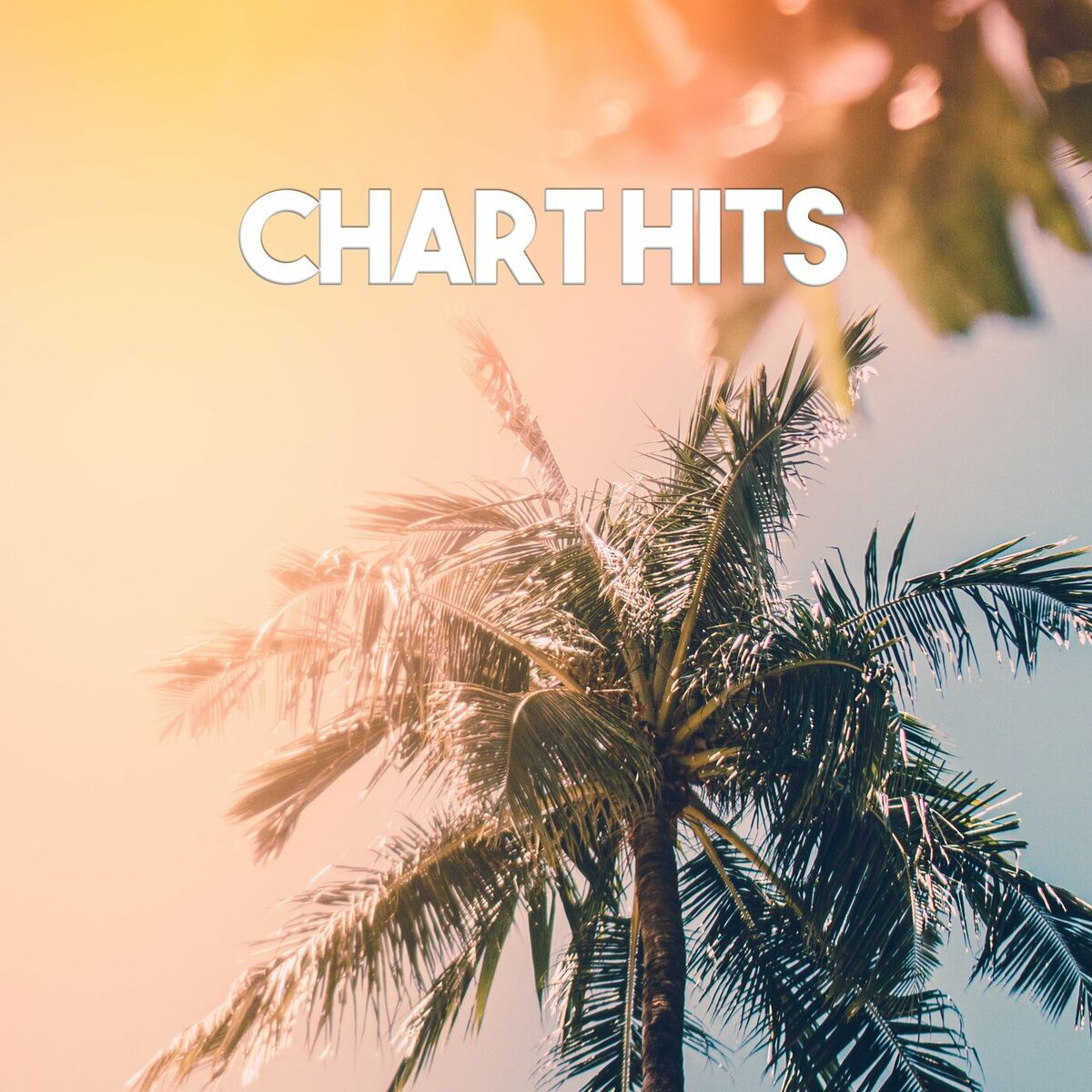 Album cover of Chart Hits