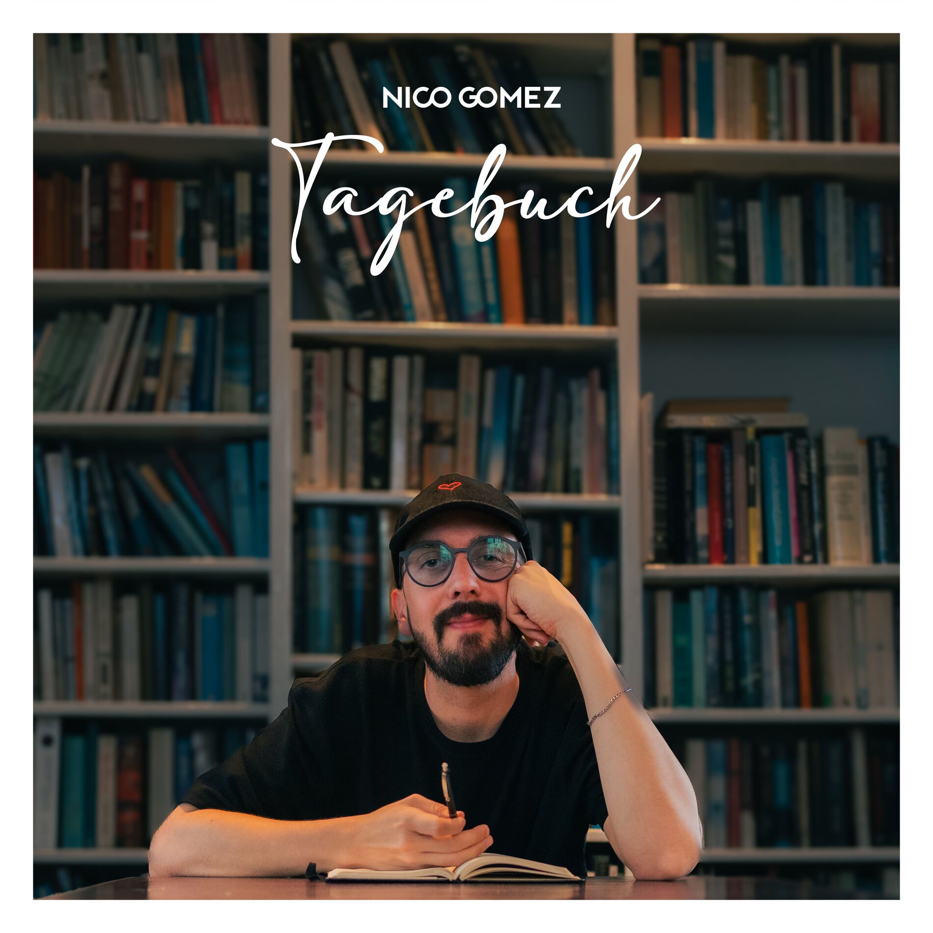Album cover of Tagebuch
