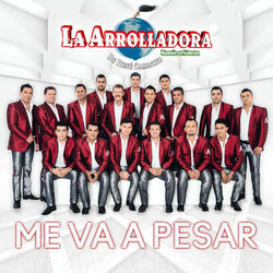 Cover of Me Va A Pesar