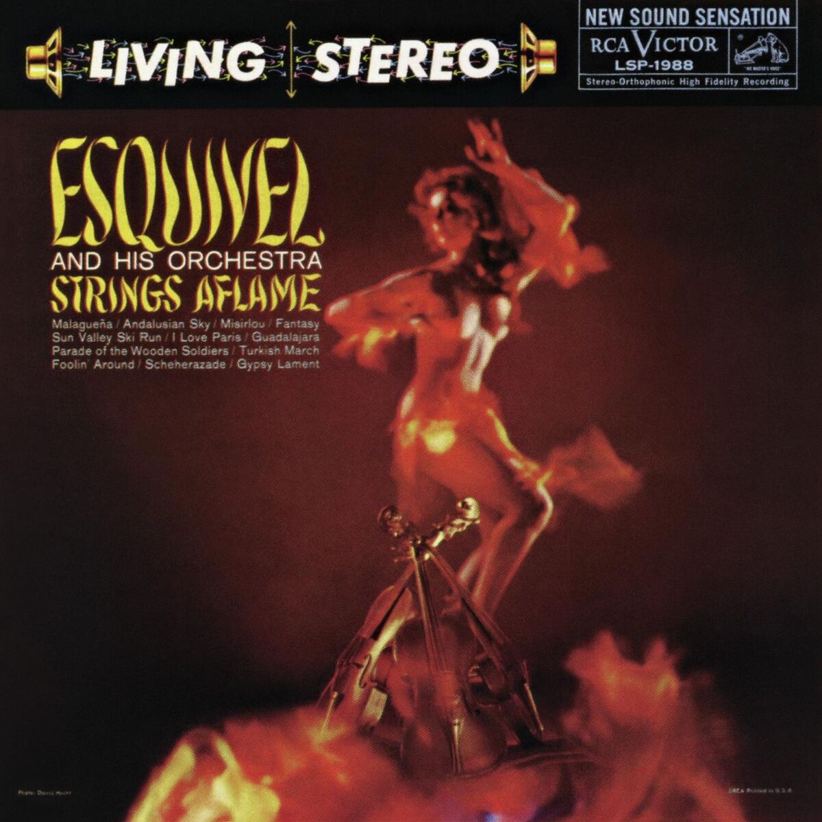 Album cover of Strings Aflame