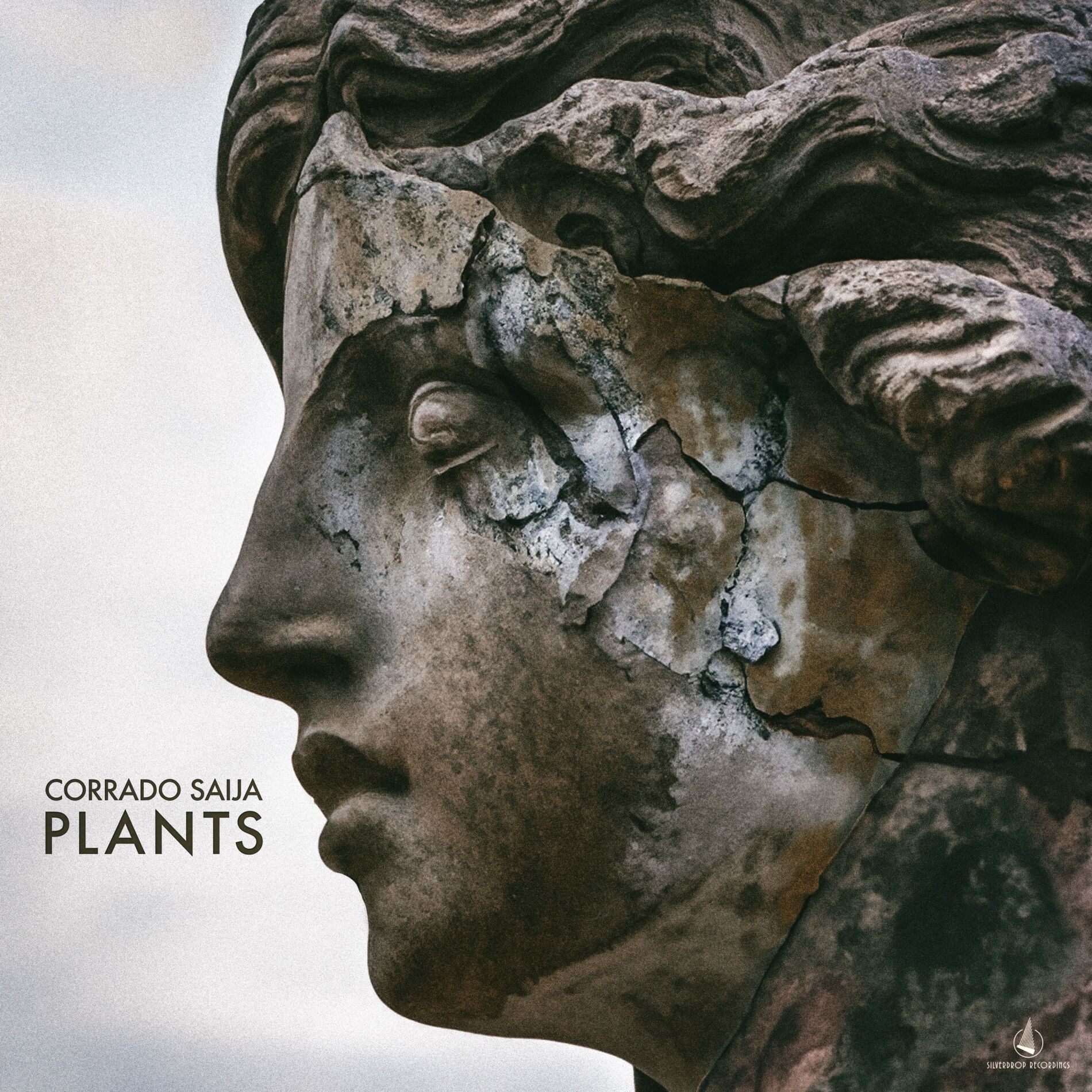 Album cover of Plants