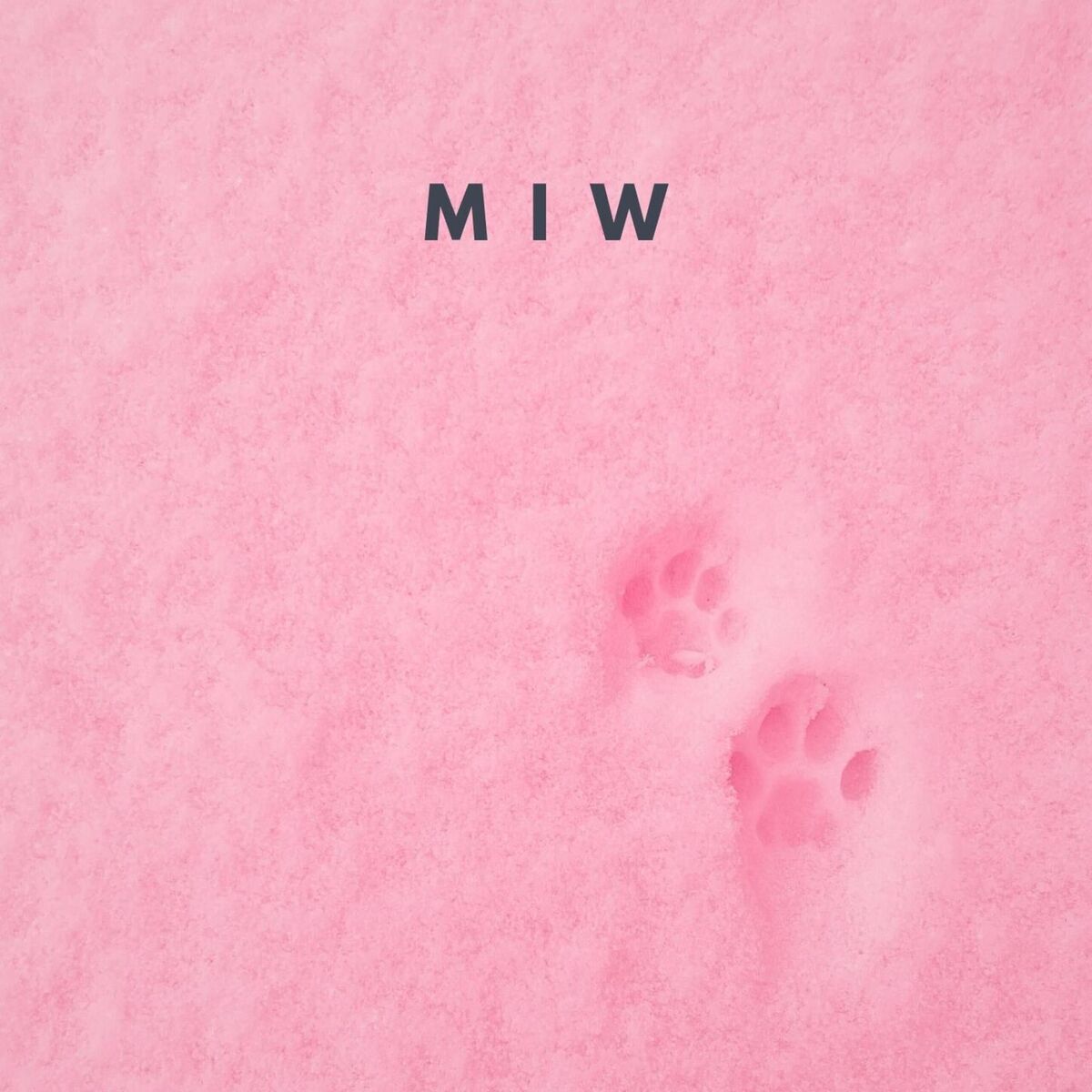 Album cover of Miw