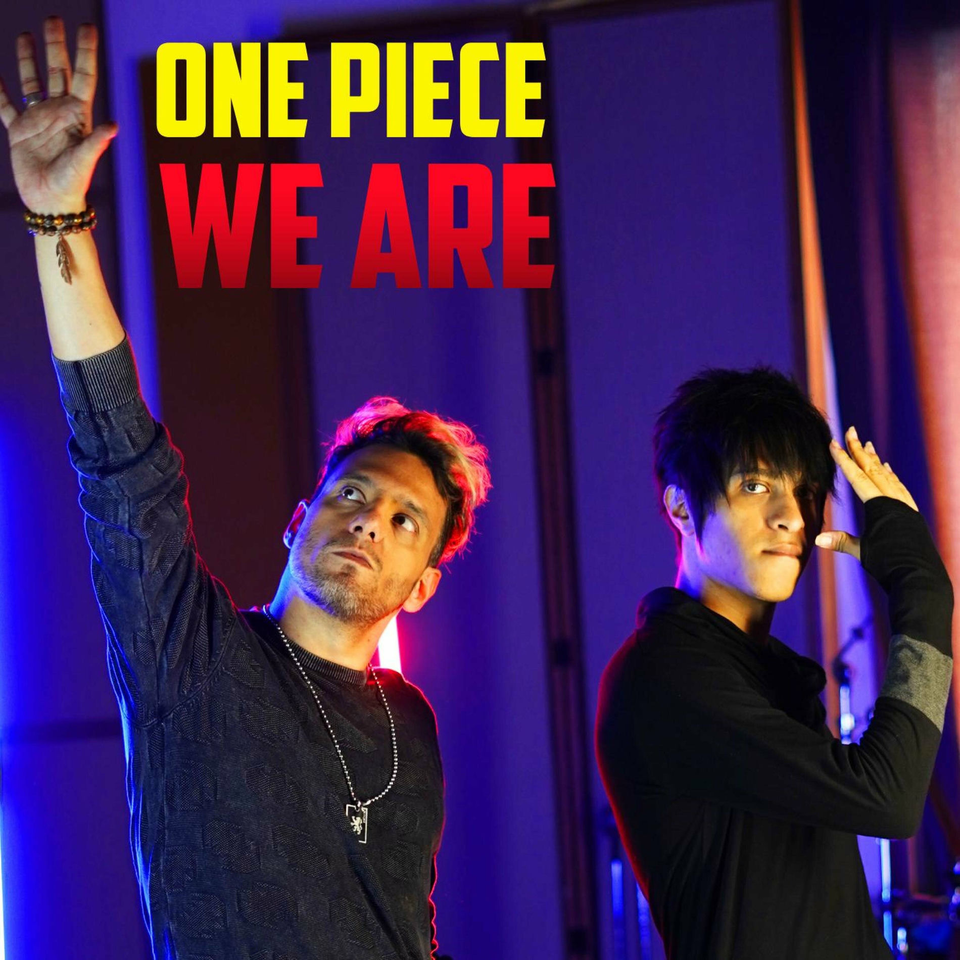 Album cover of We Are (One Piece)