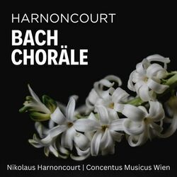 Cover of Harnoncourt: Bach Choräle