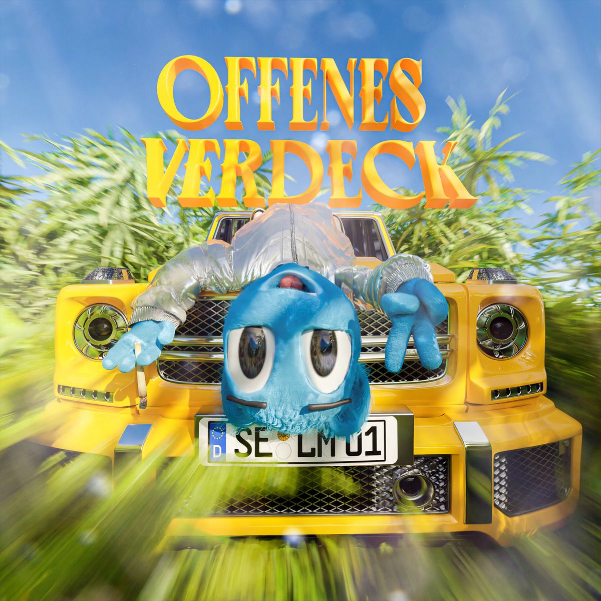 Album cover of Offenes Verdeck