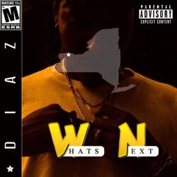 Cover of Whats Next