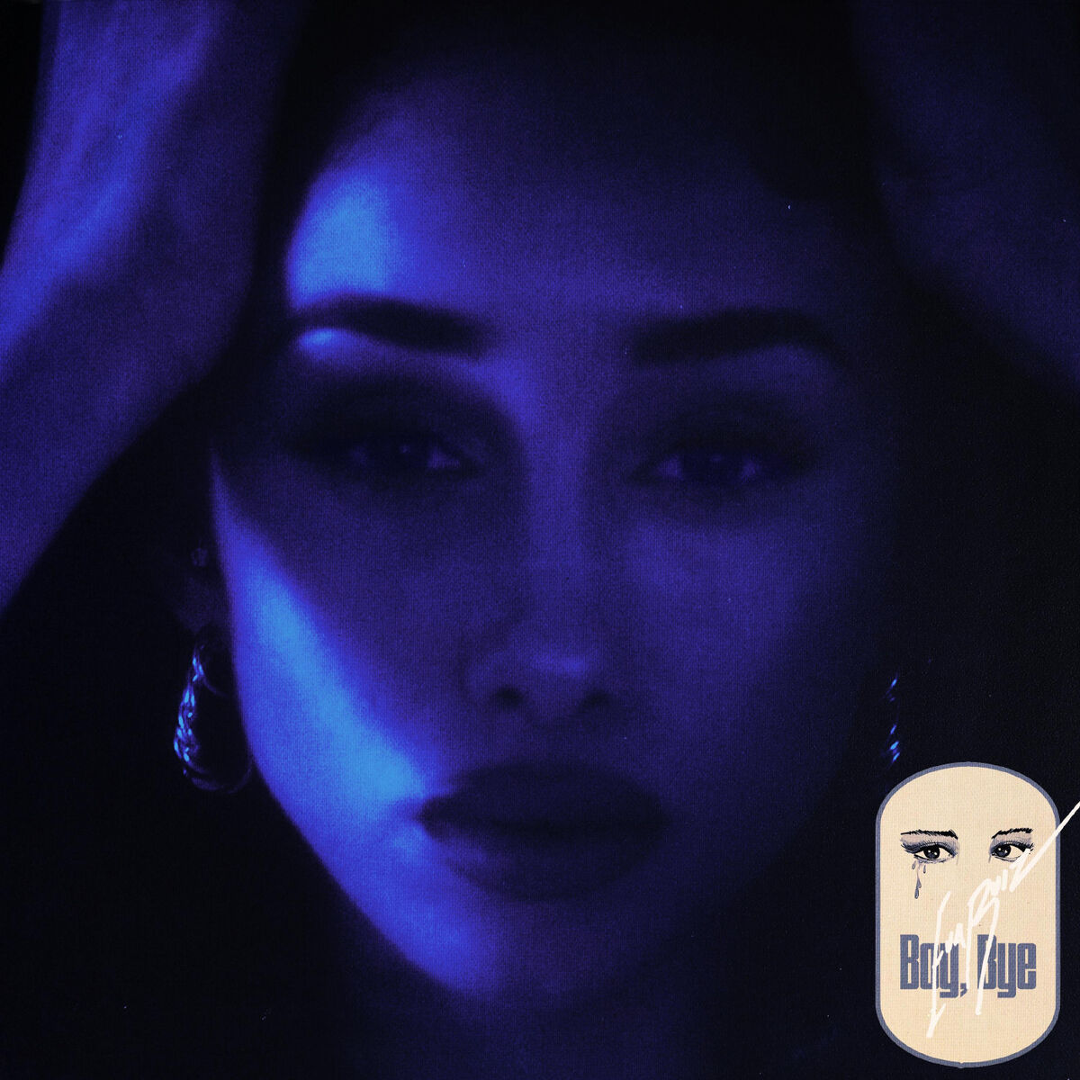 Album cover of Boy, Bye