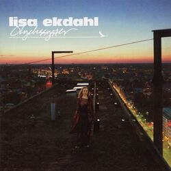 Cover of Olyckssyster