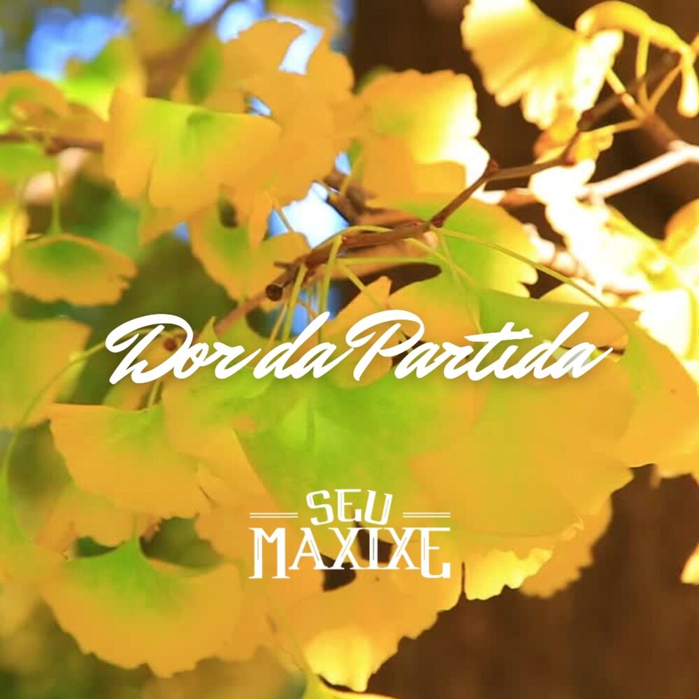 Picture of Dor Da Partida