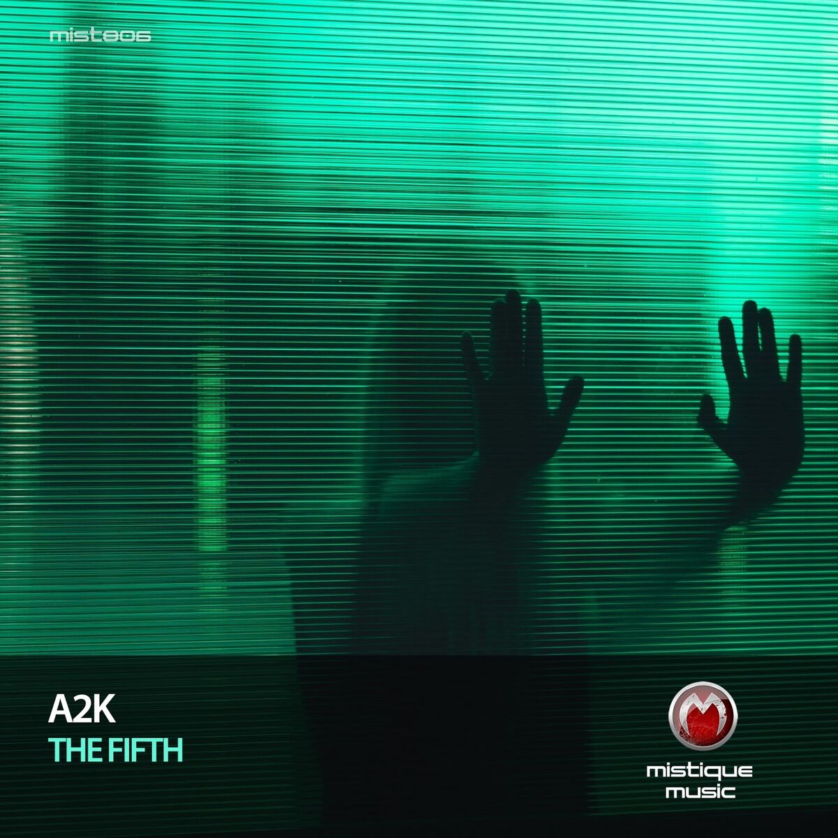 Album cover of The Fifth