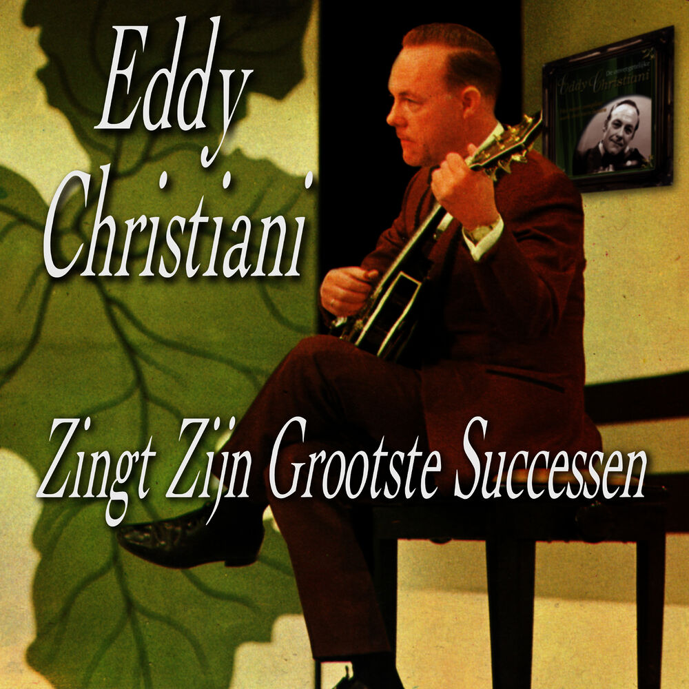 Picture of Zingt Zijn Grootste Successen