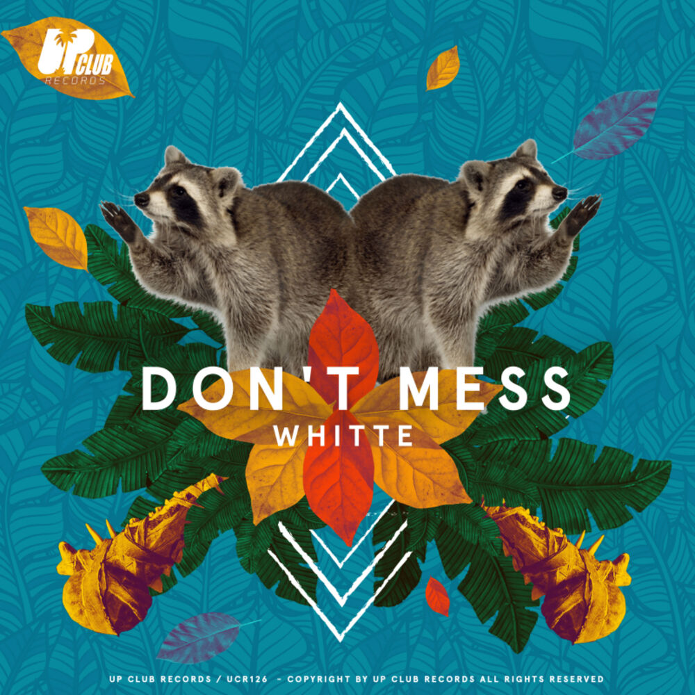 Picture of Don't Mess