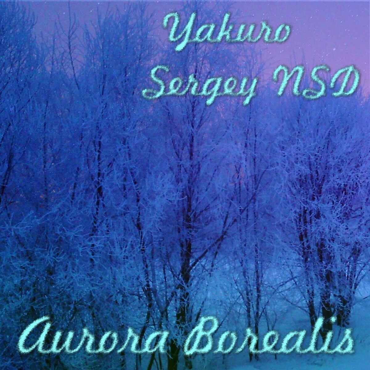 Album cover of Snowflakes, It's a Frozen Stars