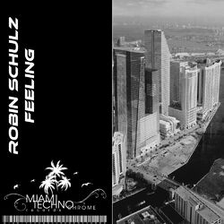 Cover of Feeling