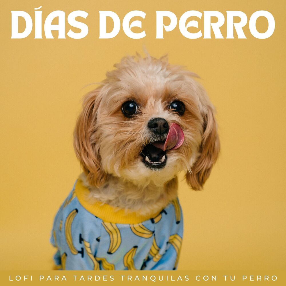 Picture of Días De Perro: Lofi Para Tardes Tranquilas Con Tu Perro