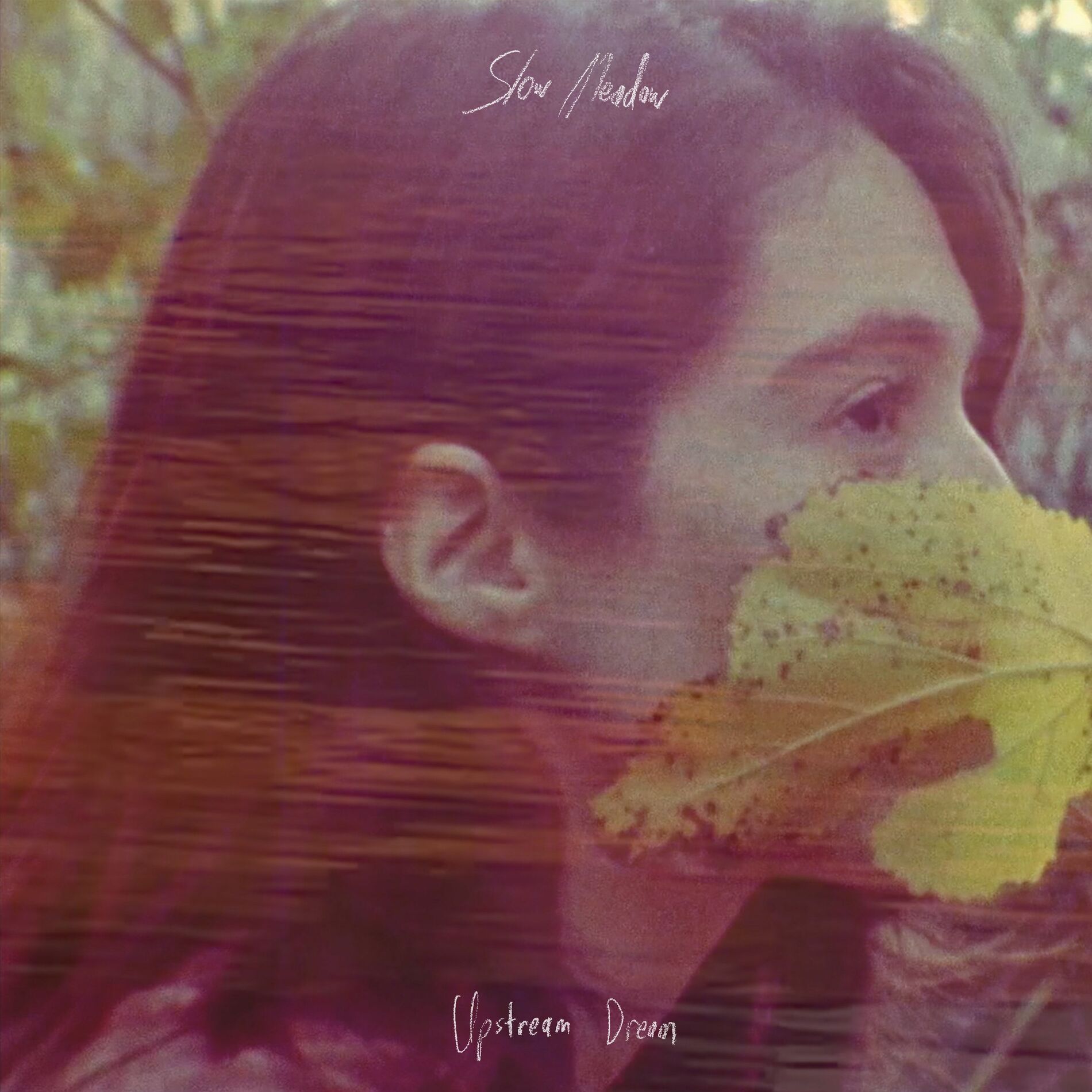 Album cover of Upstream Dream