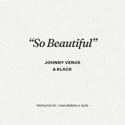 Cover of So Beautiful