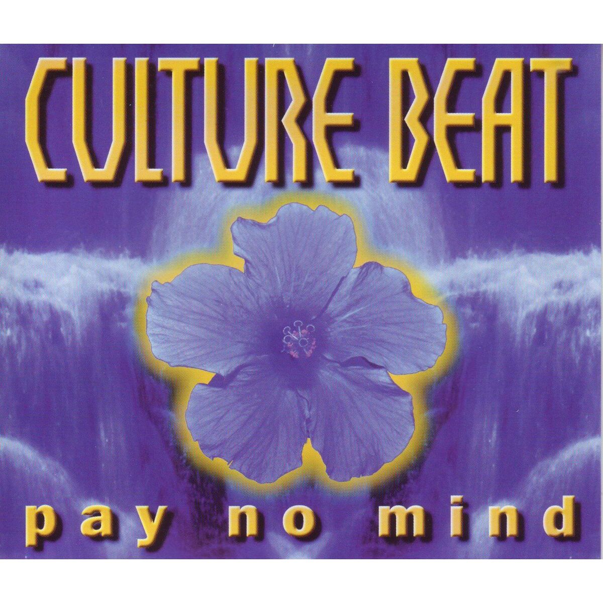 Album cover of Pay No Mind
