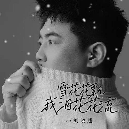 雪花花飘我泪花花流(默涵版)