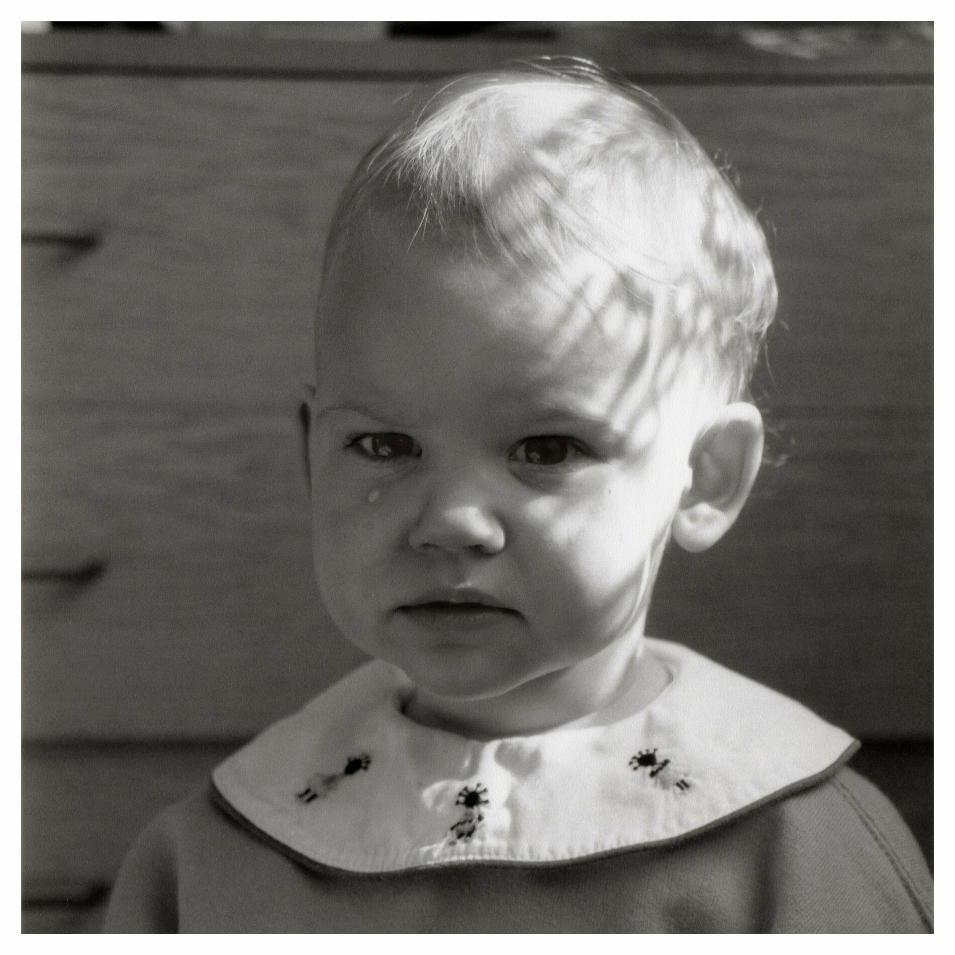 Album cover of Novembre