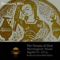Cover of The Drums of Zion