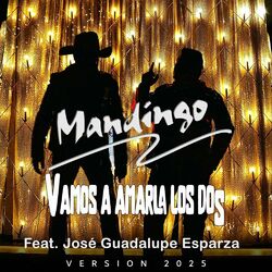 Cover of Vamos A Amarla Los Dos (Versión 2025)