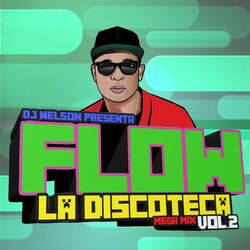 Cover of Flow La Discoteka Mega Mix, Vol.2