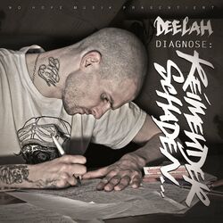 Cover of Diagnose: Reimender Schaden
