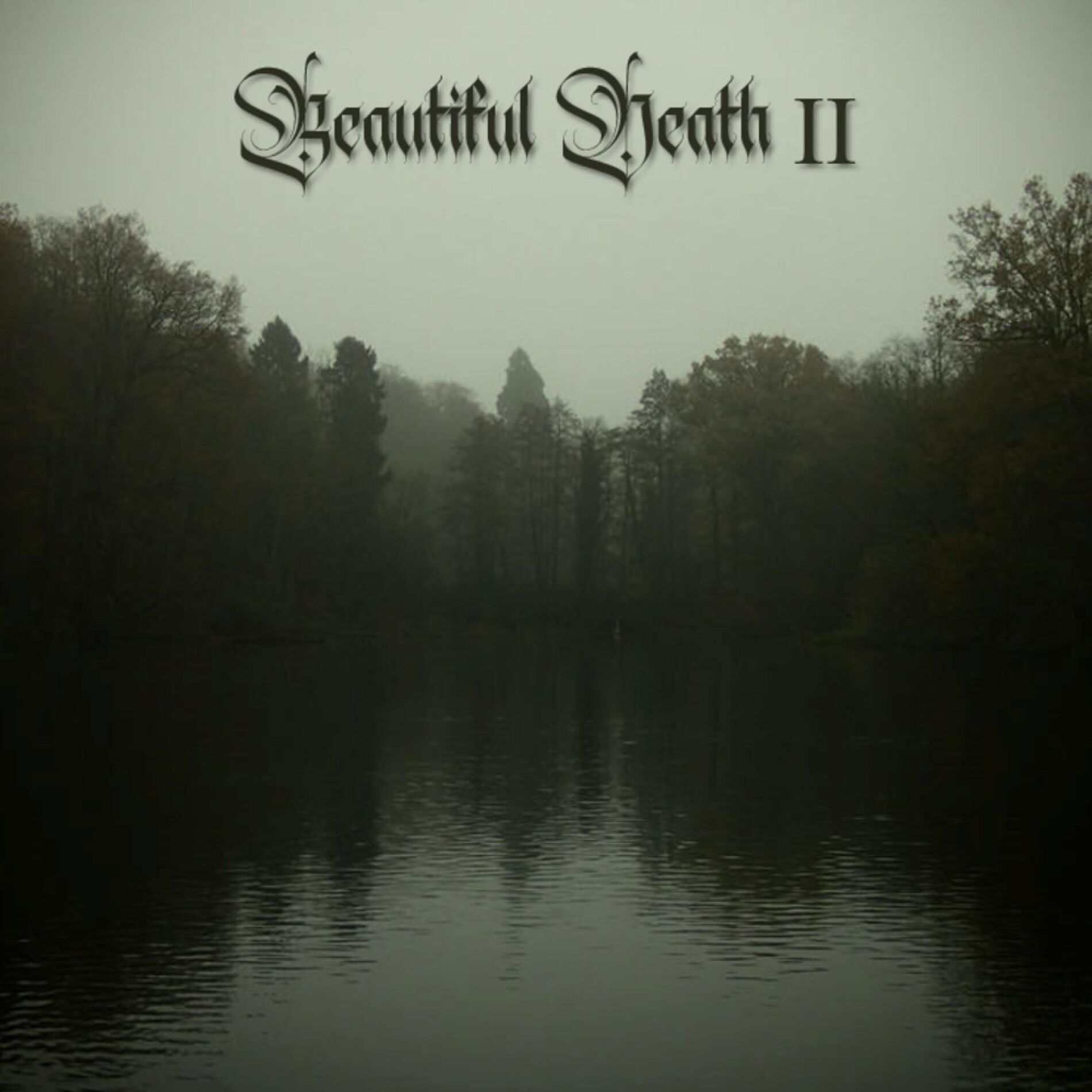 Album cover of Beautiful Death II