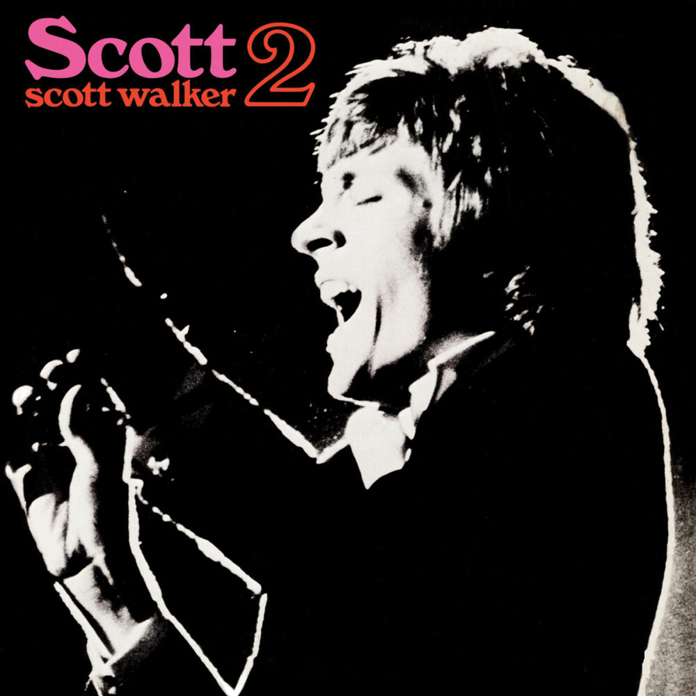 Picture of Scott 2