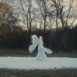 Cover of Heaven