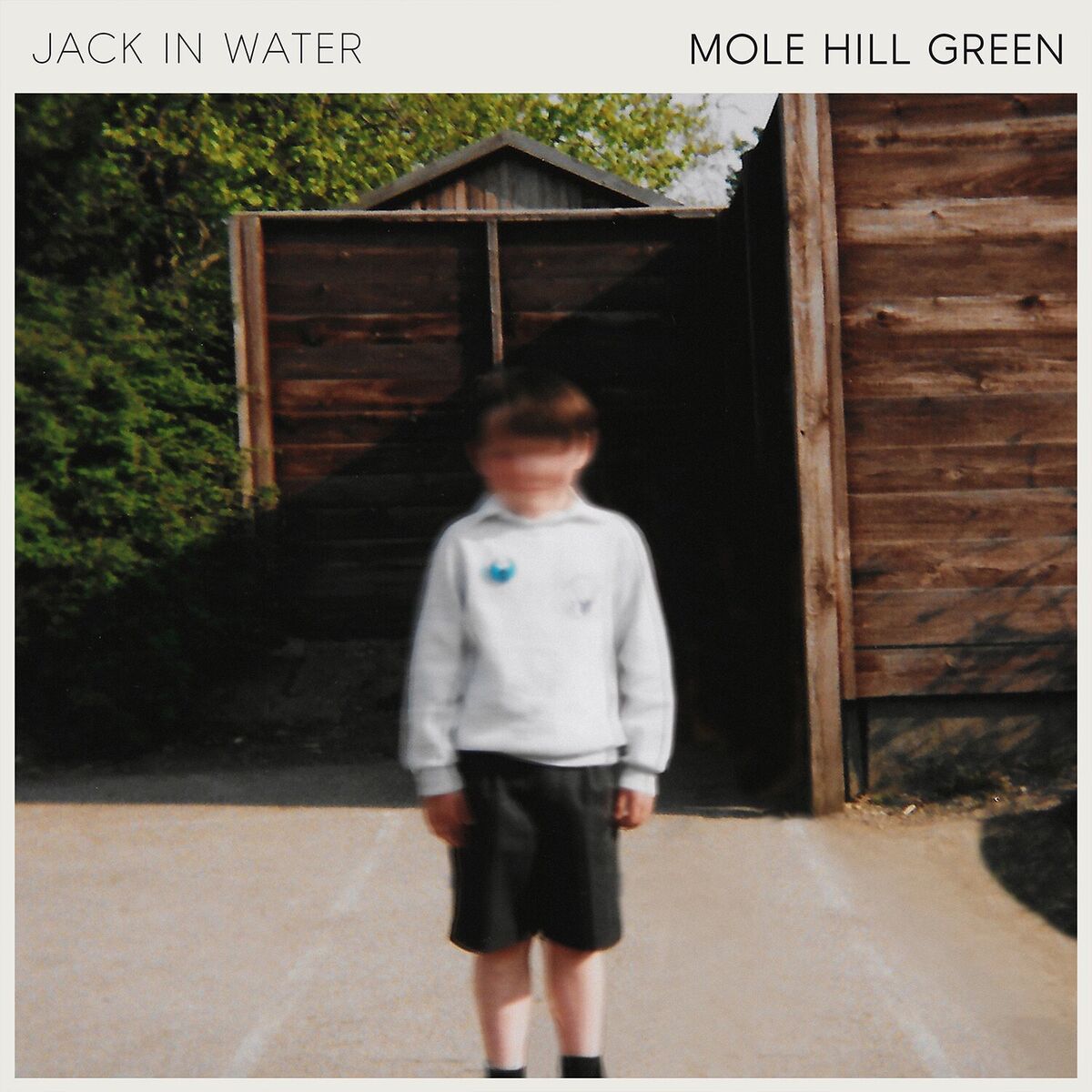 Album cover of Mole Hill Green