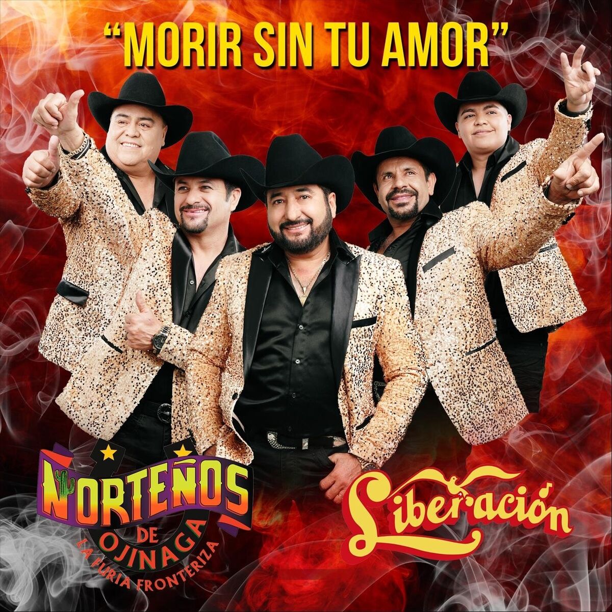 Album cover of Morir Sin Tu Amor