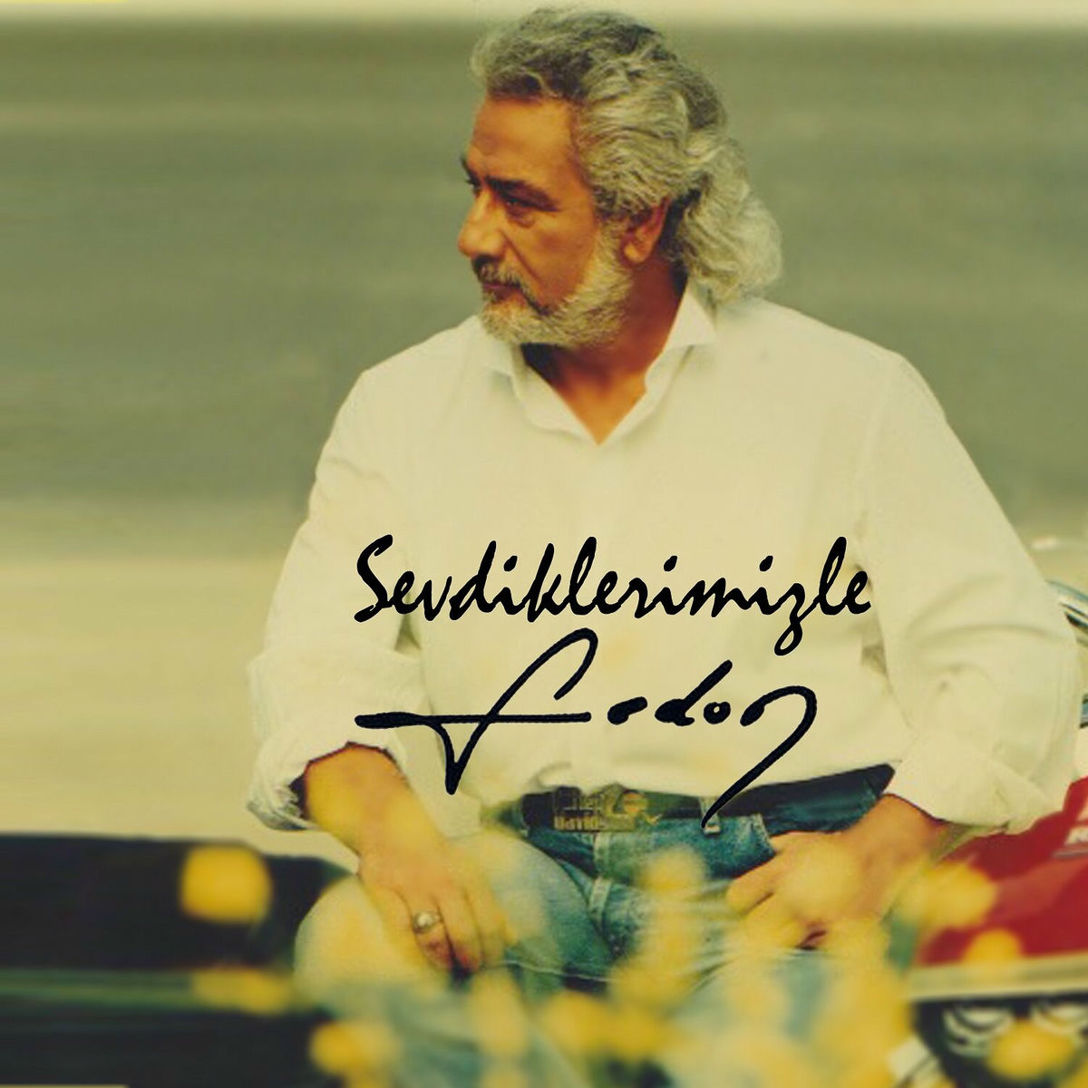Album cover of Dostluk Şarkısı