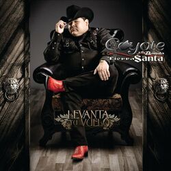 Cover of Levanta Tu Vuelo